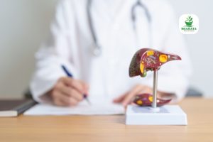 Pencegahan Hepatitis