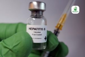 Pengobatan dan Obat Hepatitis B Kronis