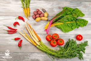 sayur segar