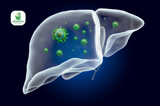 apakah hepatitis menular lewat udara